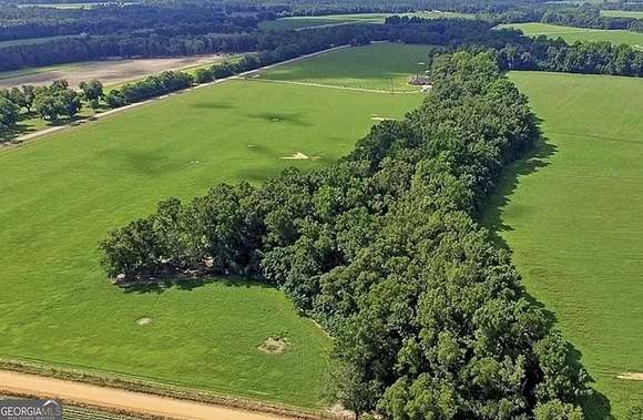 5.1 Acres of Residential Land for Sale in Portal, Georgia
