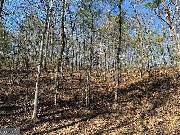 2 Acres of Residential Land for Sale in Ranger, Georgia