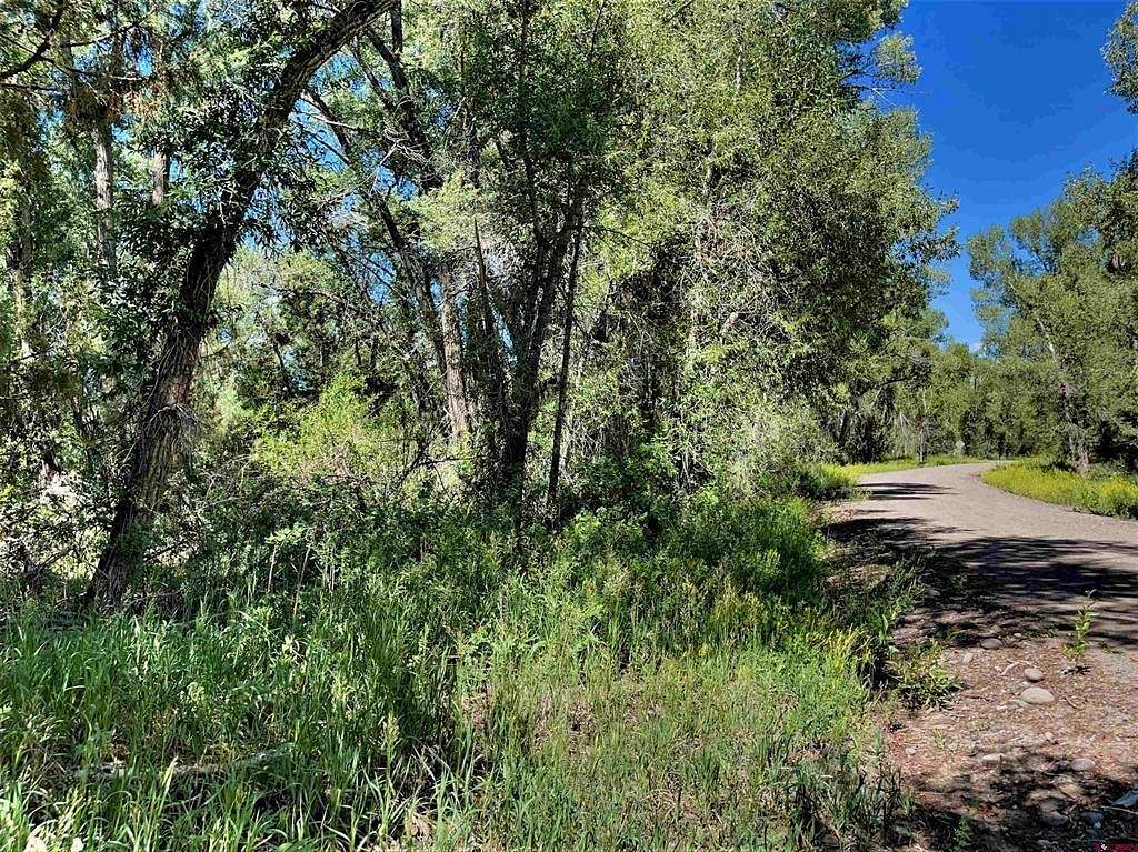 0.72 Acres of Residential Land for Sale in South Fork, Colorado