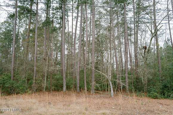 1.3 Acres of Residential Land for Sale in Hampton, South Carolina