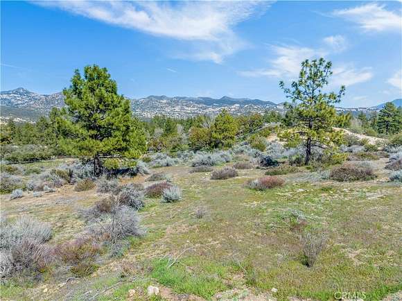 37.5 Acres of Agricultural Land for Sale in Mountain Center, California