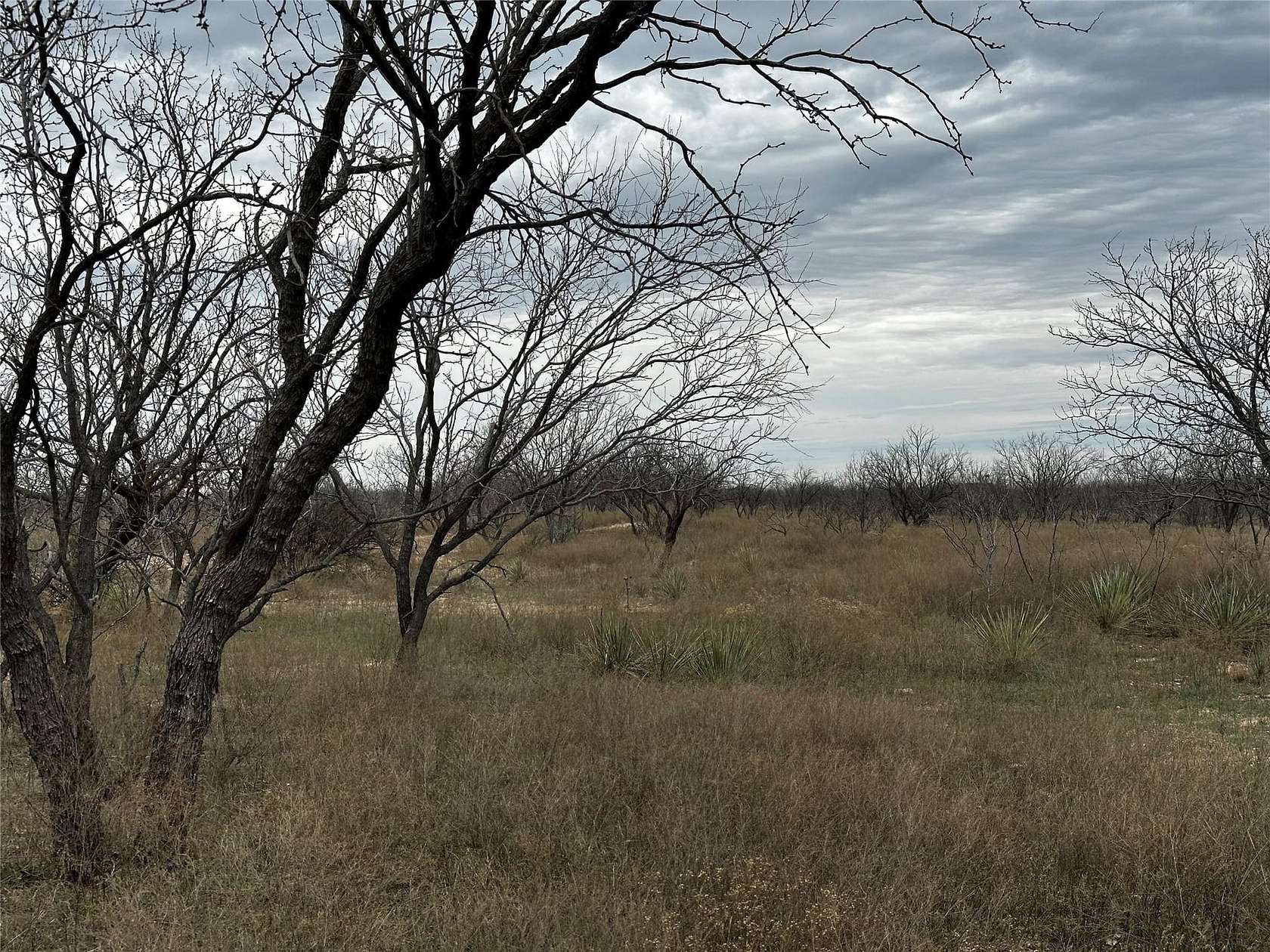 22 Acres of Recreational Land for Sale in Abilene, Texas