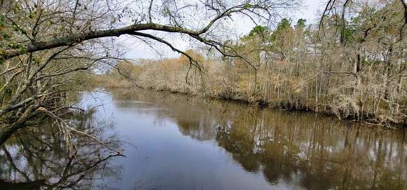 57.2 Acres of Recreational Land for Sale in Alapaha, Georgia