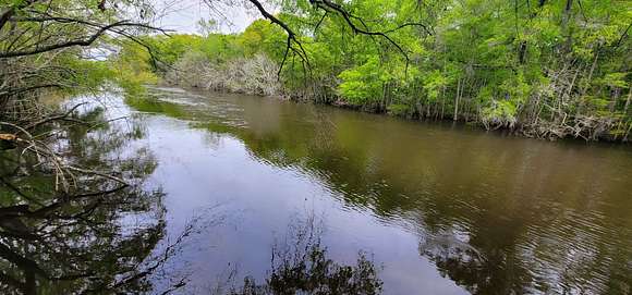 57.2 Acres of Recreational Land for Sale in Alapaha, Georgia