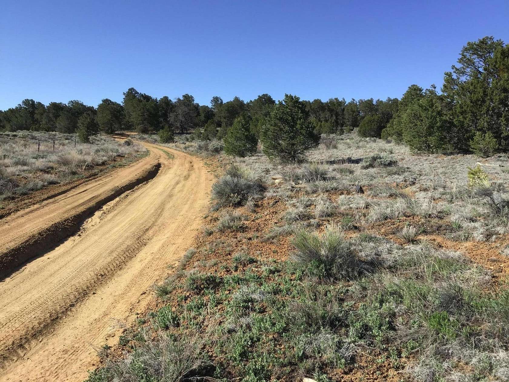 5.8 Acres of Residential Land for Sale in Ramah, New Mexico