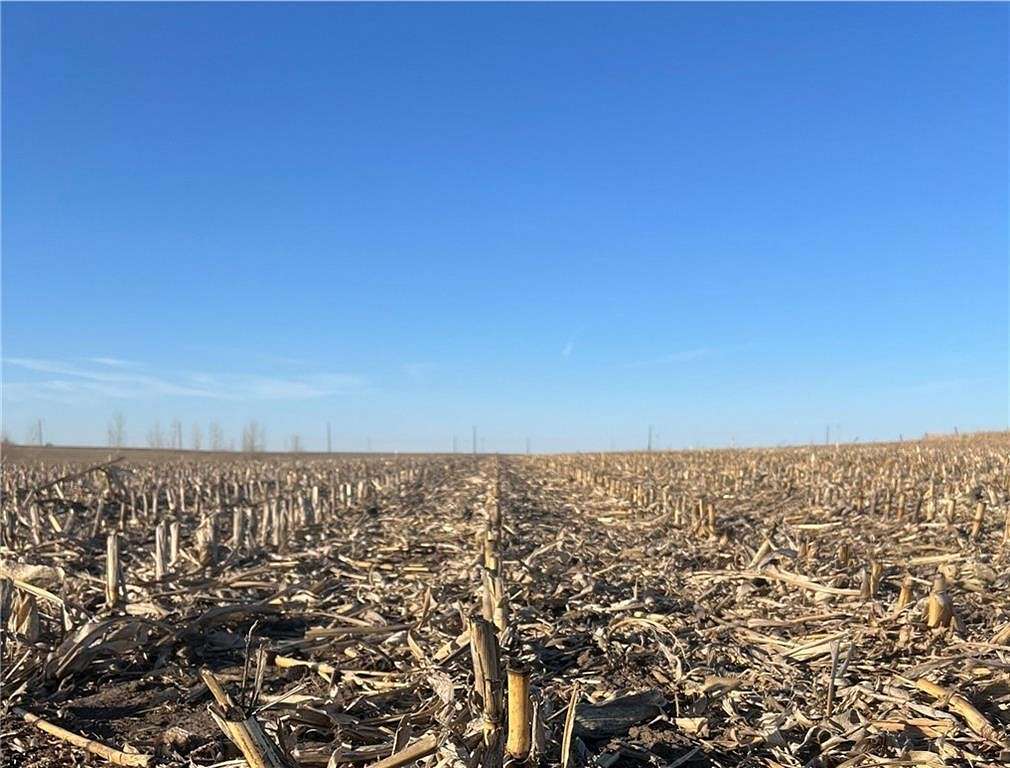 145 Acres of Agricultural Land for Sale in Dysart, Iowa