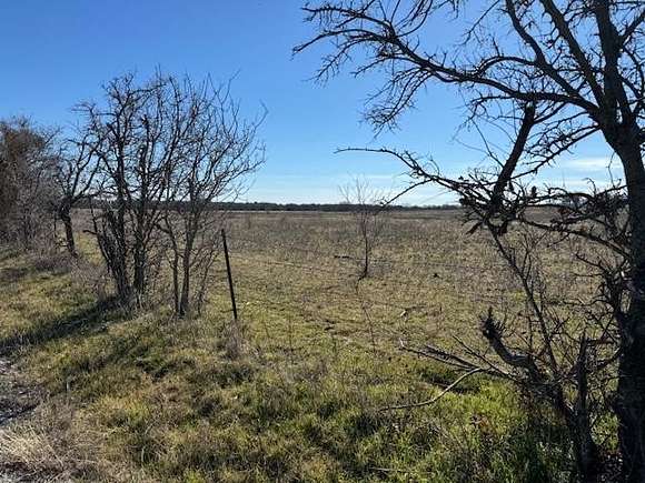 20 Acres of Agricultural Land for Sale in Chico, Texas