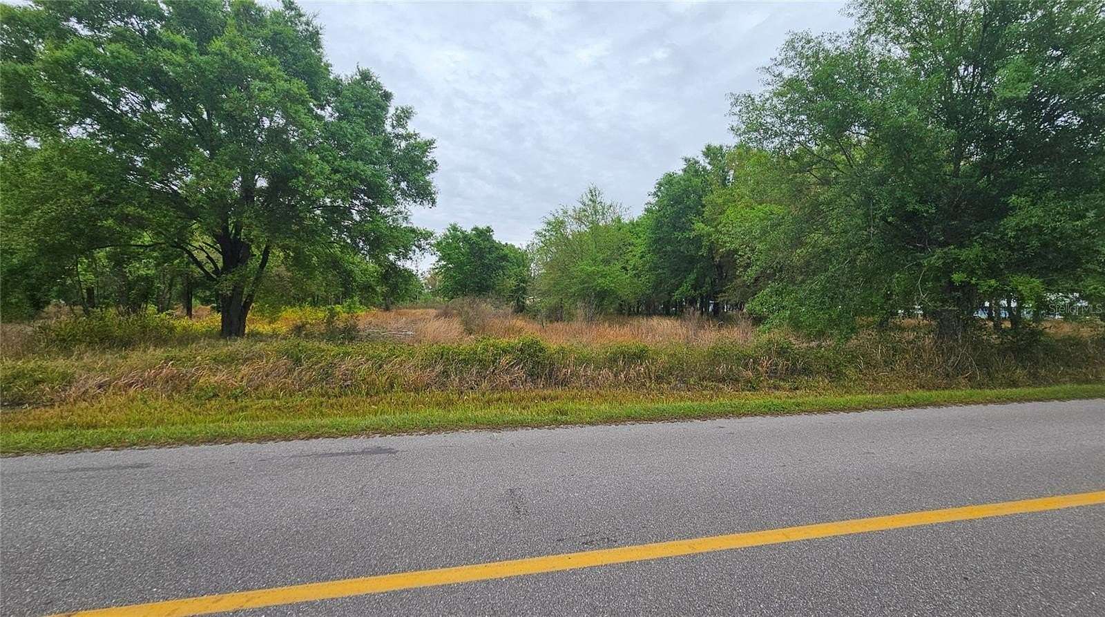 9 Acres of Residential Land for Sale in Wauchula, Florida