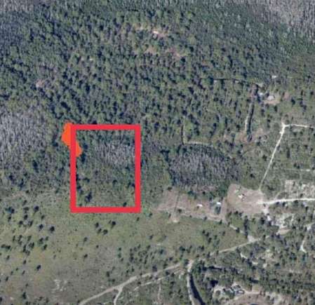2.5 Acres of Residential Land for Sale in St. Cloud, Florida