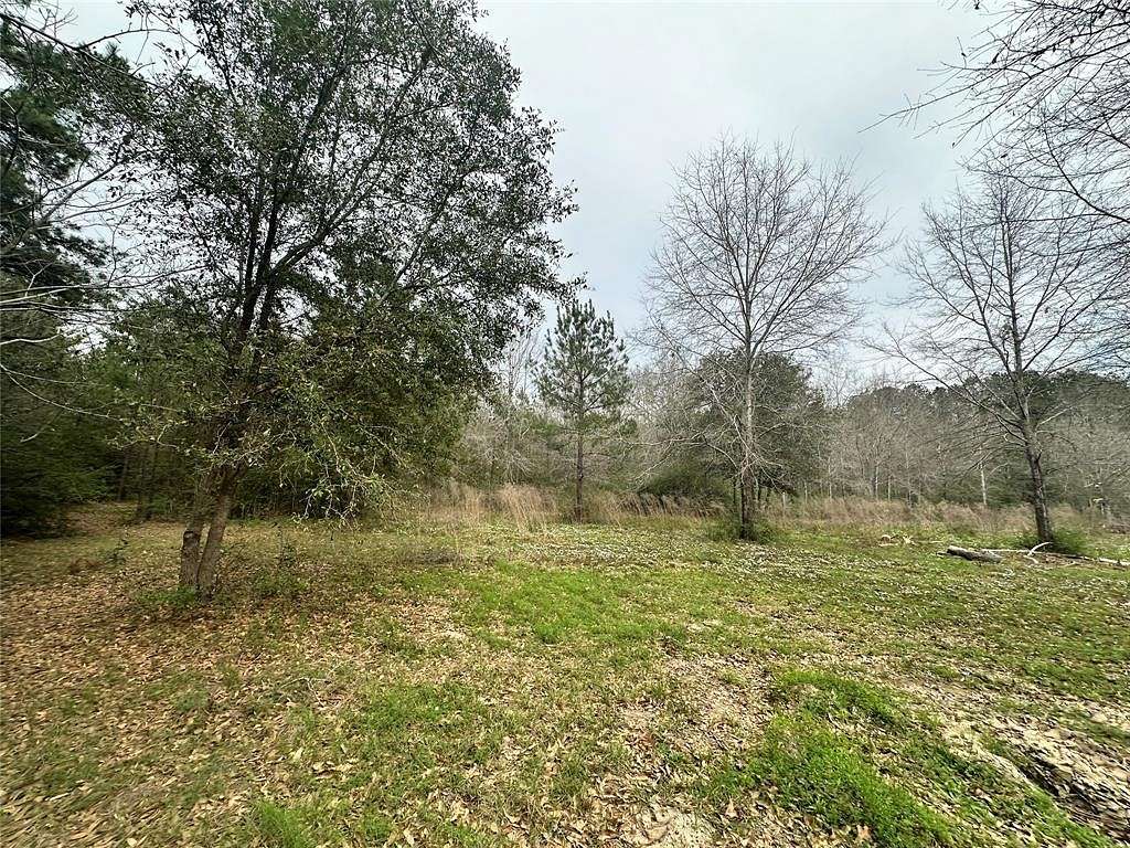 4.8 Acres of Residential Land for Sale in Warren, Texas