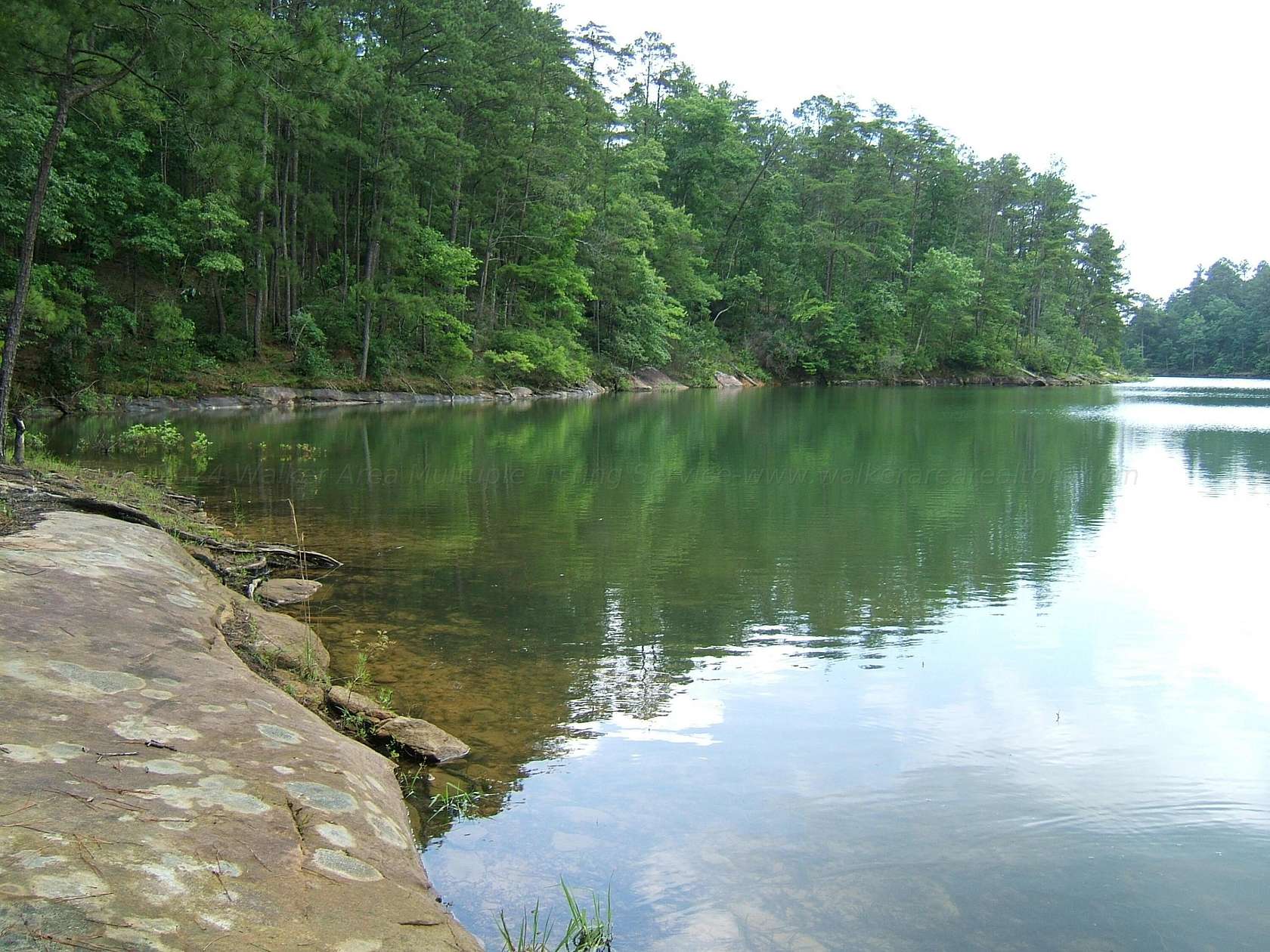 9 Acres of Land for Sale in Double Springs, Alabama