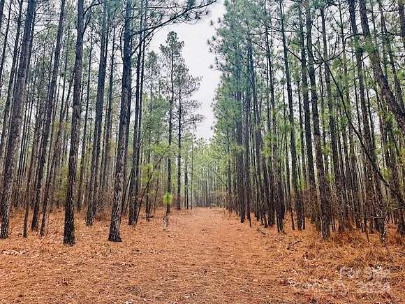 42.8 Acres of Land for Sale in Kershaw, South Carolina