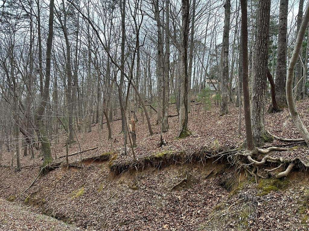 0.2 Acres of Residential Land for Sale in Ellijay, Georgia