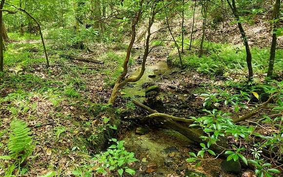 0.86 Acres of Land for Sale in Blairsville, Georgia