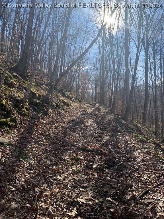 115.3 Acres of Recreational Land for Sale in Sutton, West Virginia