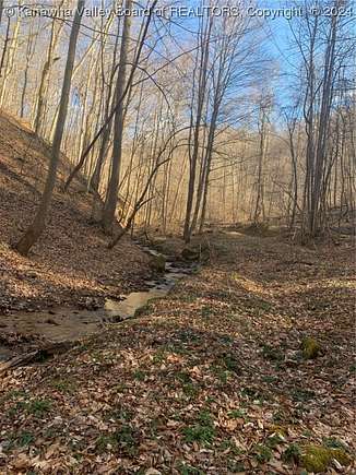 115 Acres of Recreational Land for Sale in Sutton, West Virginia