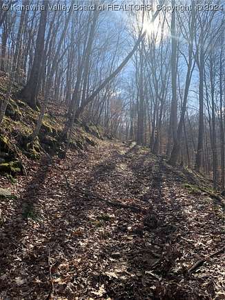 115.3 Acres of Recreational Land for Sale in Sutton, West Virginia
