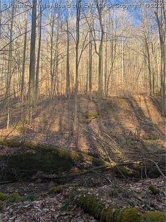 115 Acres of Recreational Land for Sale in Sutton, West Virginia
