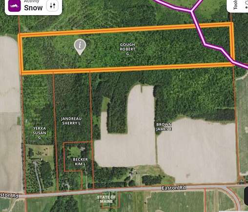 80 Acres of Recreational Land for Sale in Presque Isle, Maine