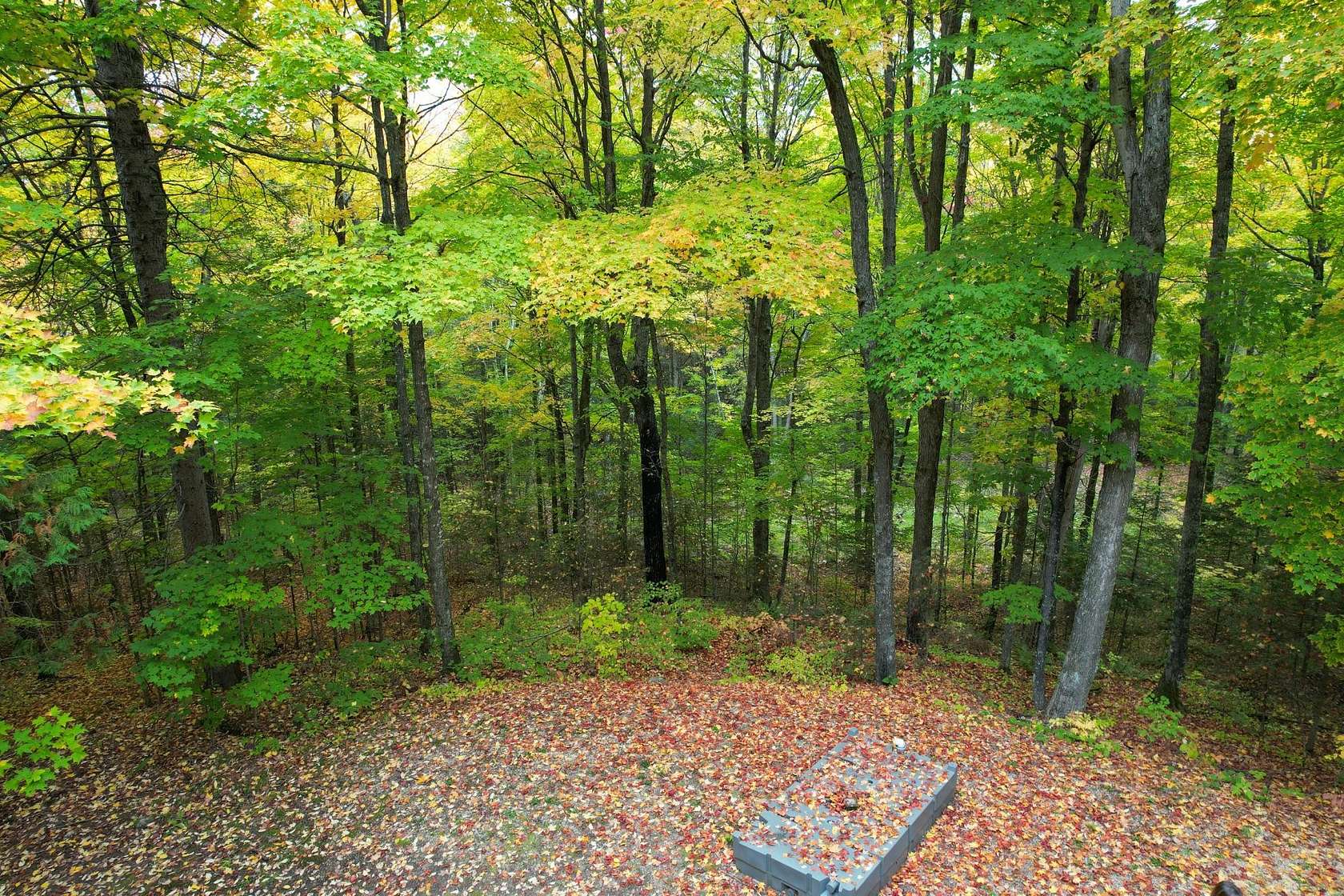 18.1 Acres of Recreational Land for Sale in Crandon, Wisconsin