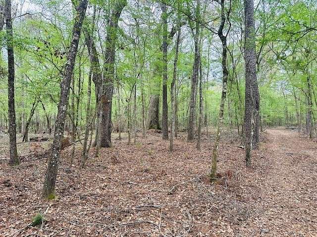 10.3 Acres of Recreational Land for Sale in Bell, Florida