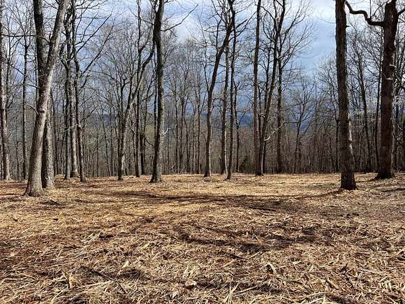 10.1 Acres of Land for Sale in Williamsville, Virginia