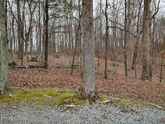 1.2 Acres of Residential Land for Sale in Spring City, Tennessee