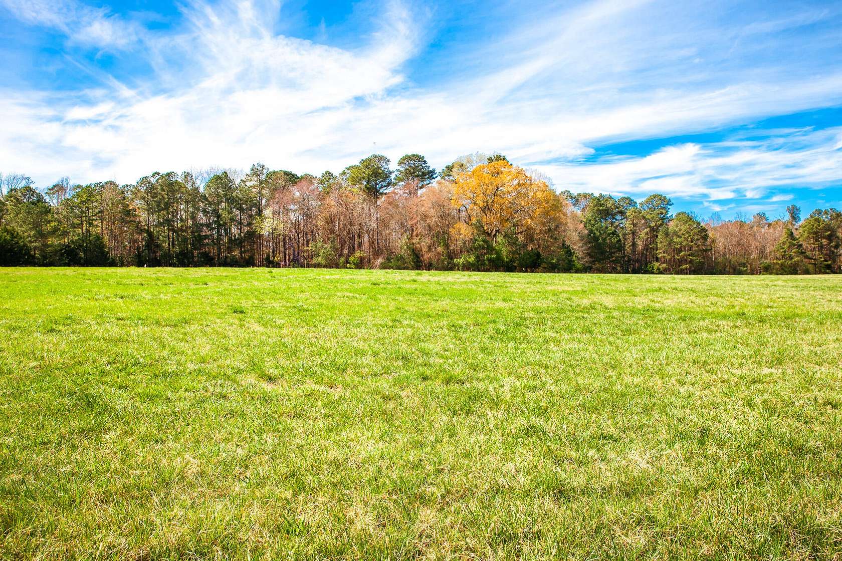 8 Acres of Residential Land for Sale in Appling, Georgia