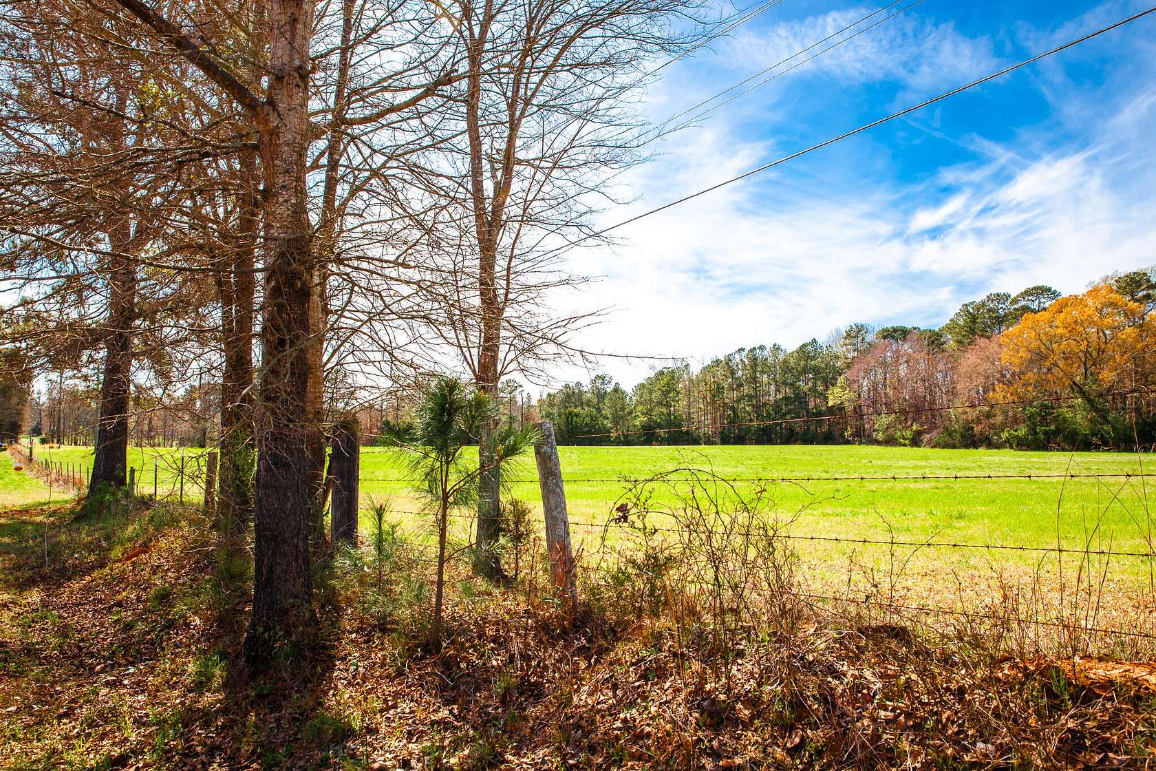 8 Acres of Residential Land for Sale in Appling, Georgia