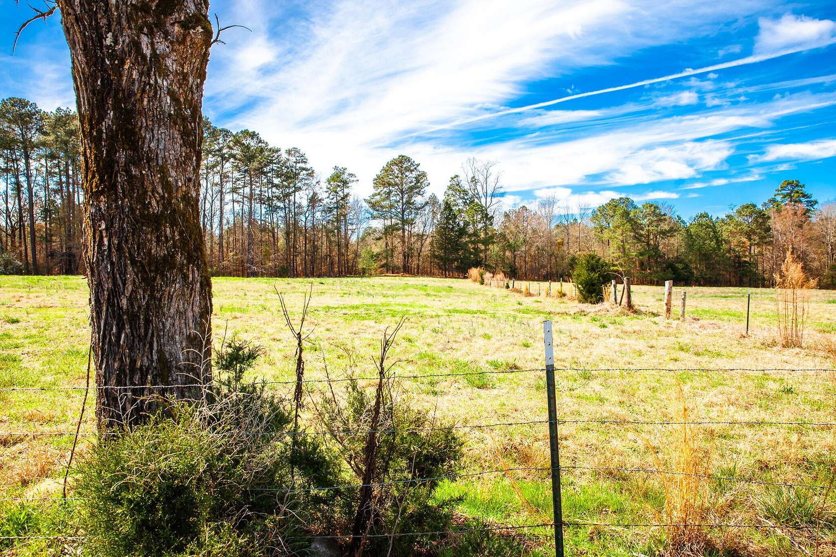 9 Acres of Residential Land for Sale in Appling, Georgia