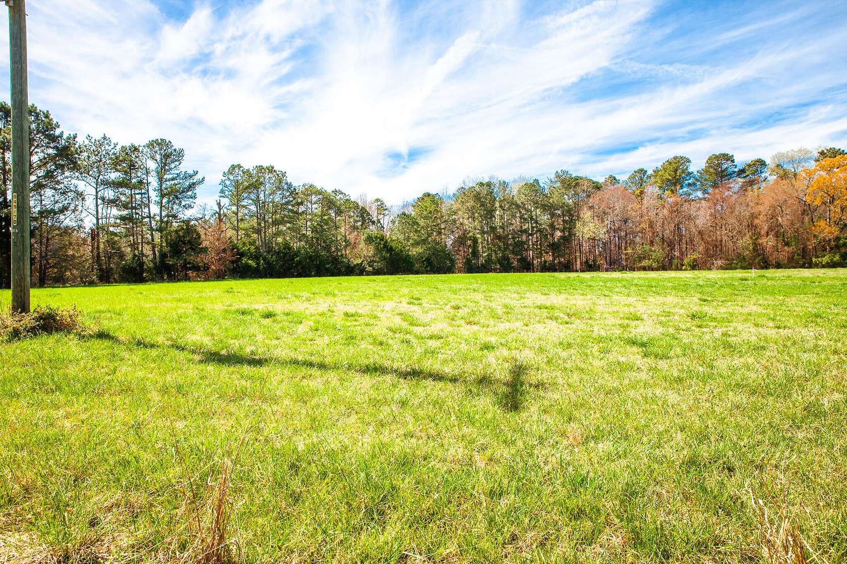 14 Acres of Land for Sale in Appling, Georgia