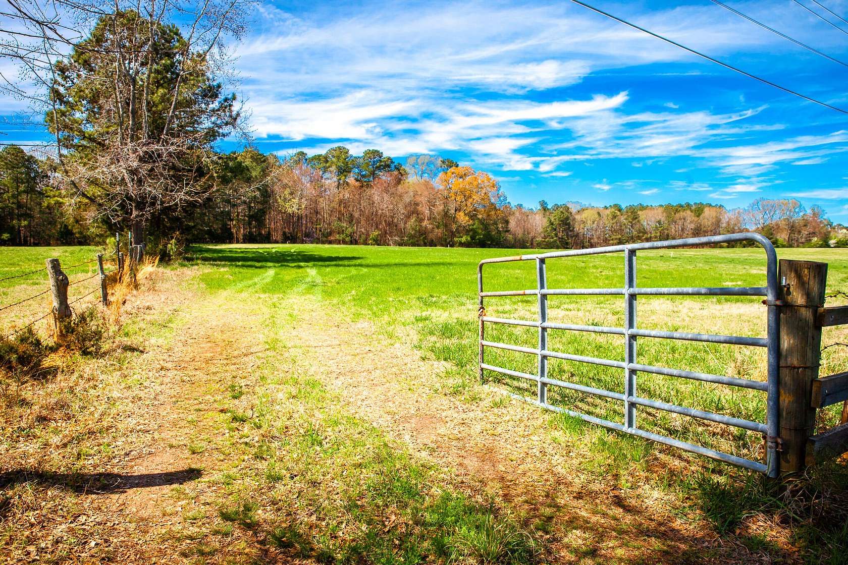 14 Acres of Land for Sale in Appling, Georgia