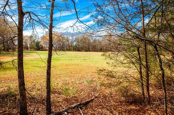 6.6 Acres of Residential Land for Sale in Appling, Georgia