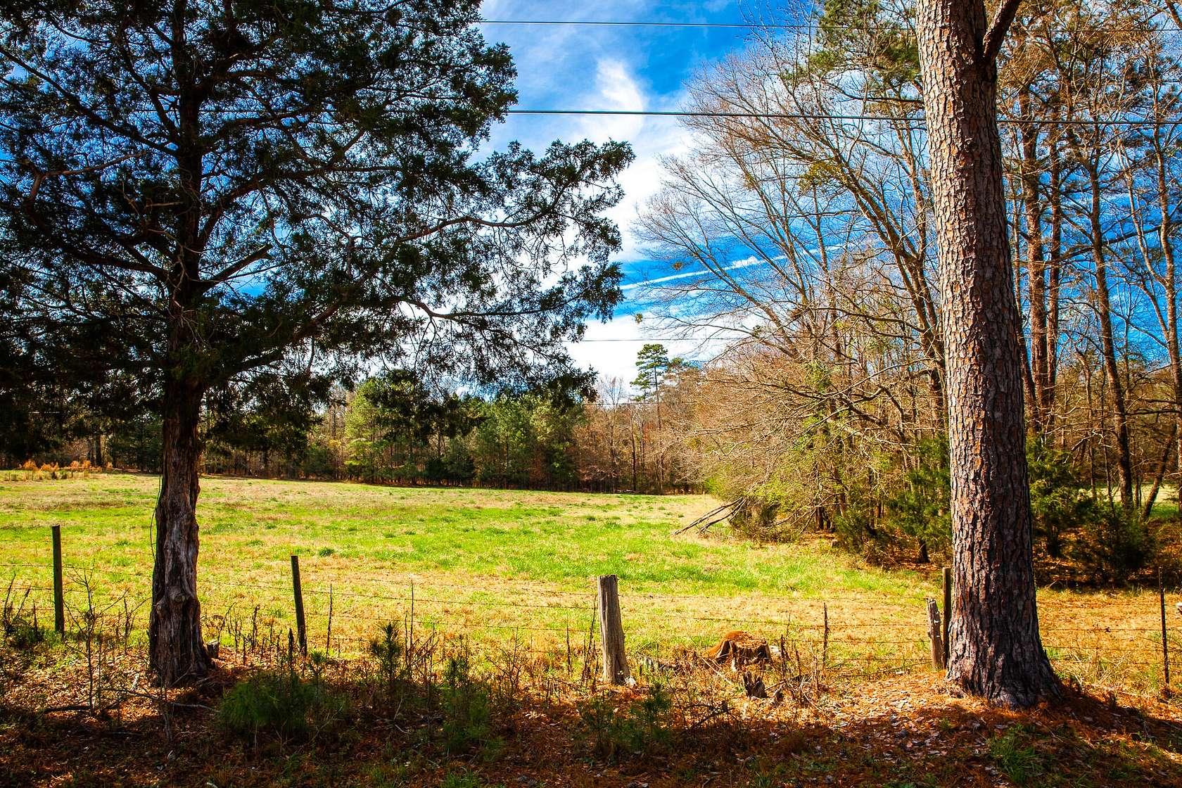 18 Acres of Land for Sale in Appling, Georgia