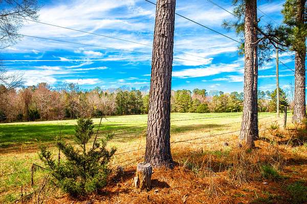 18 Acres of Land for Sale in Appling, Georgia