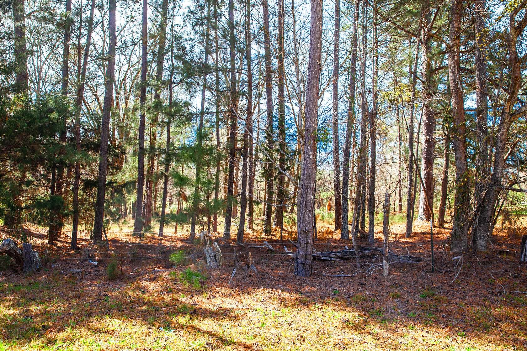 6 Acres of Residential Land for Sale in Appling, Georgia
