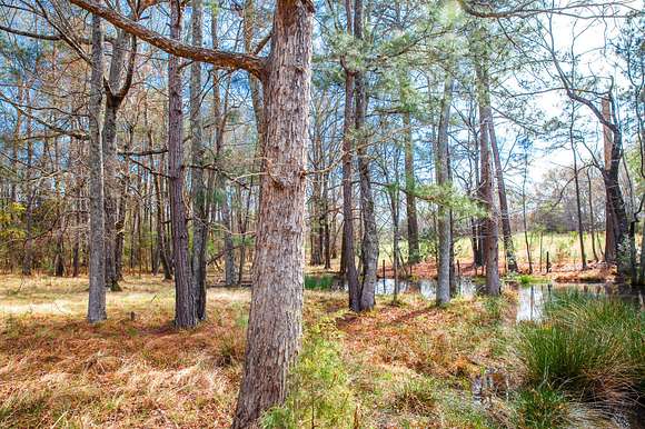 6 Acres of Residential Land for Sale in Appling, Georgia