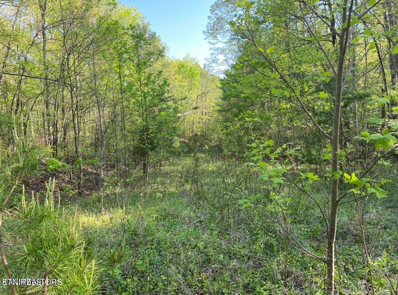 14.4 Acres of Land for Sale in Harriman, Tennessee