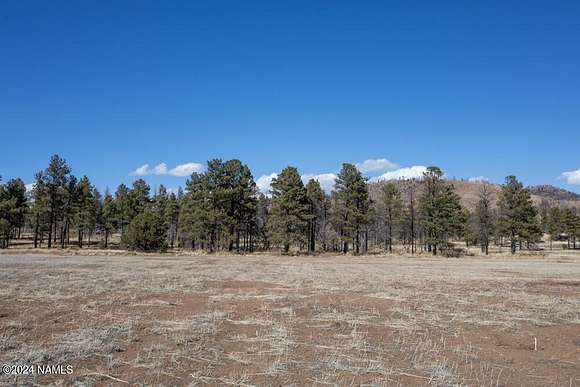 5 Acres of Land for Sale in Flagstaff, Arizona