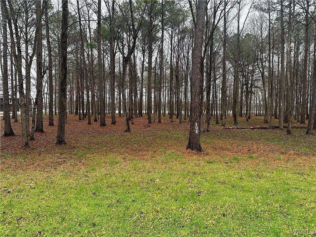 1.5 Acres of Residential Land for Sale in Akron, Alabama