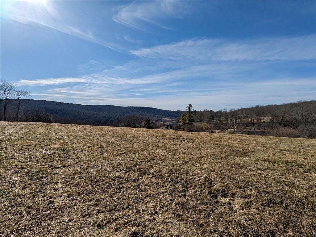 11.1 Acres of Land for Sale in Jefferson, New York