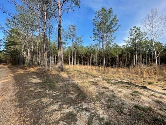 10 Acres of Recreational Land for Sale in Brookhaven, Mississippi