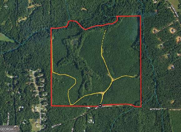 156 Acres of Recreational Land for Sale in Opelika, Alabama