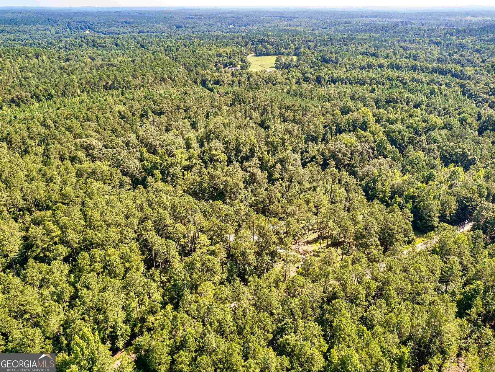17.4 Acres of Recreational Land for Sale in Jackson, Georgia