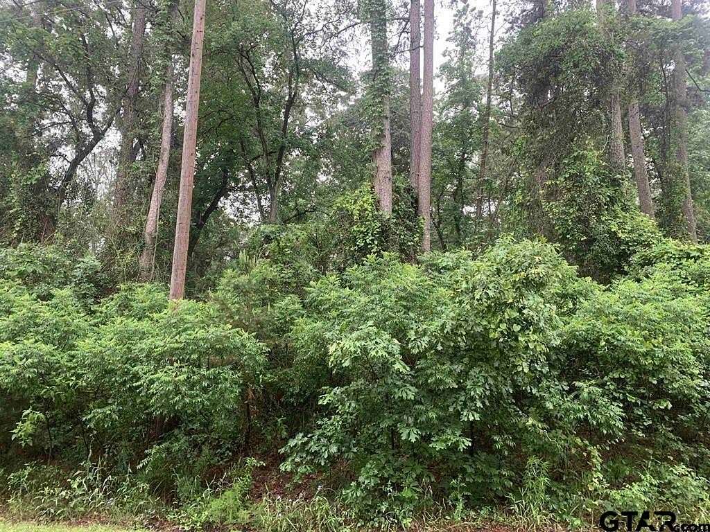 0.27 Acres of Land for Sale in Scroggins, Texas
