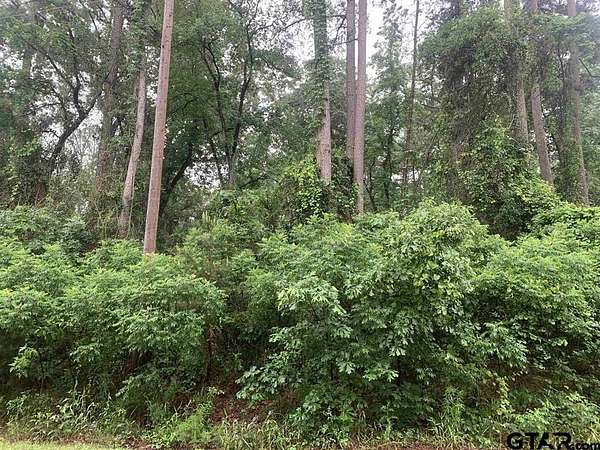 0.27 Acres of Land for Sale in Scroggins, Texas
