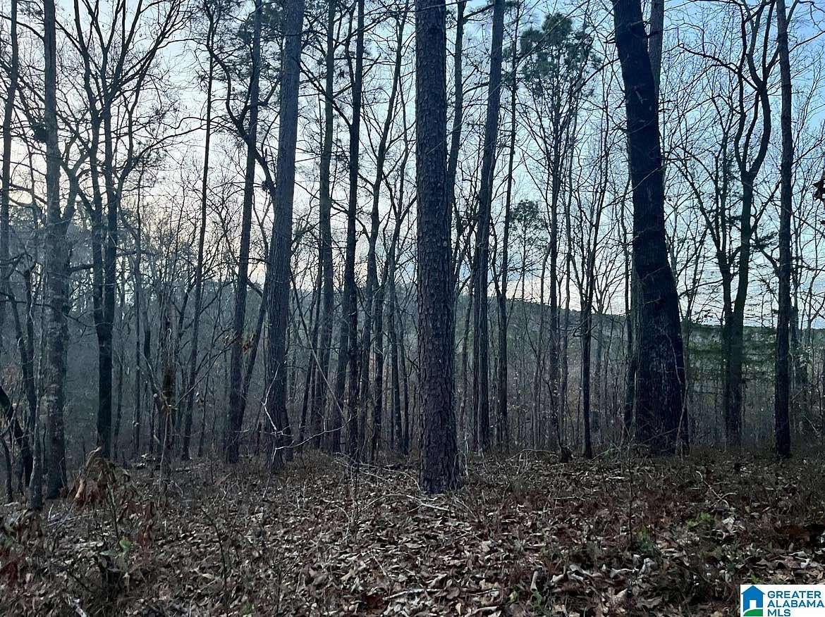 1 Acre of Residential Land for Sale in Talladega, Alabama