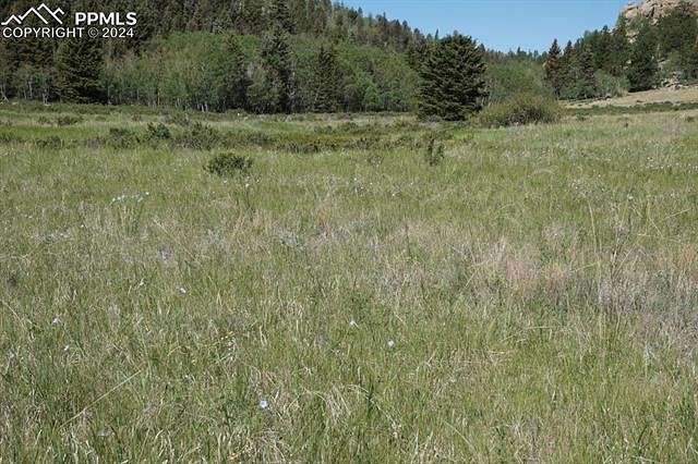 2.2 Acres of Residential Land for Sale in Lake George, Colorado