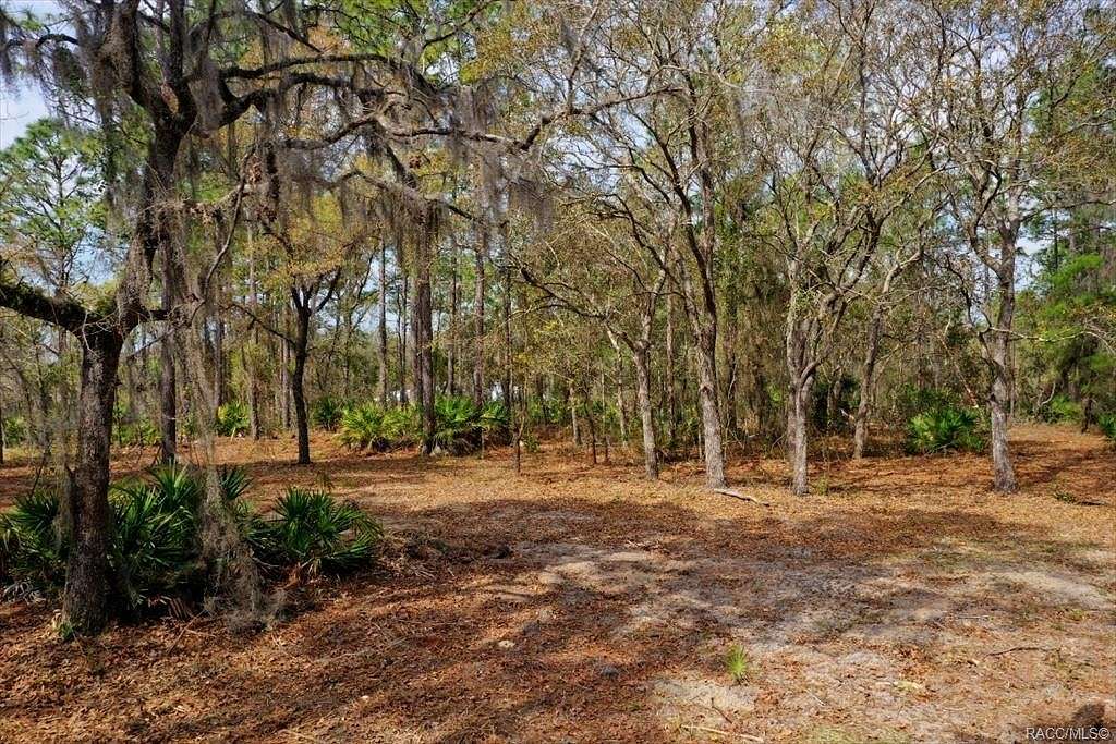 2 Acres of Residential Land for Sale in Beverly Hills, Florida