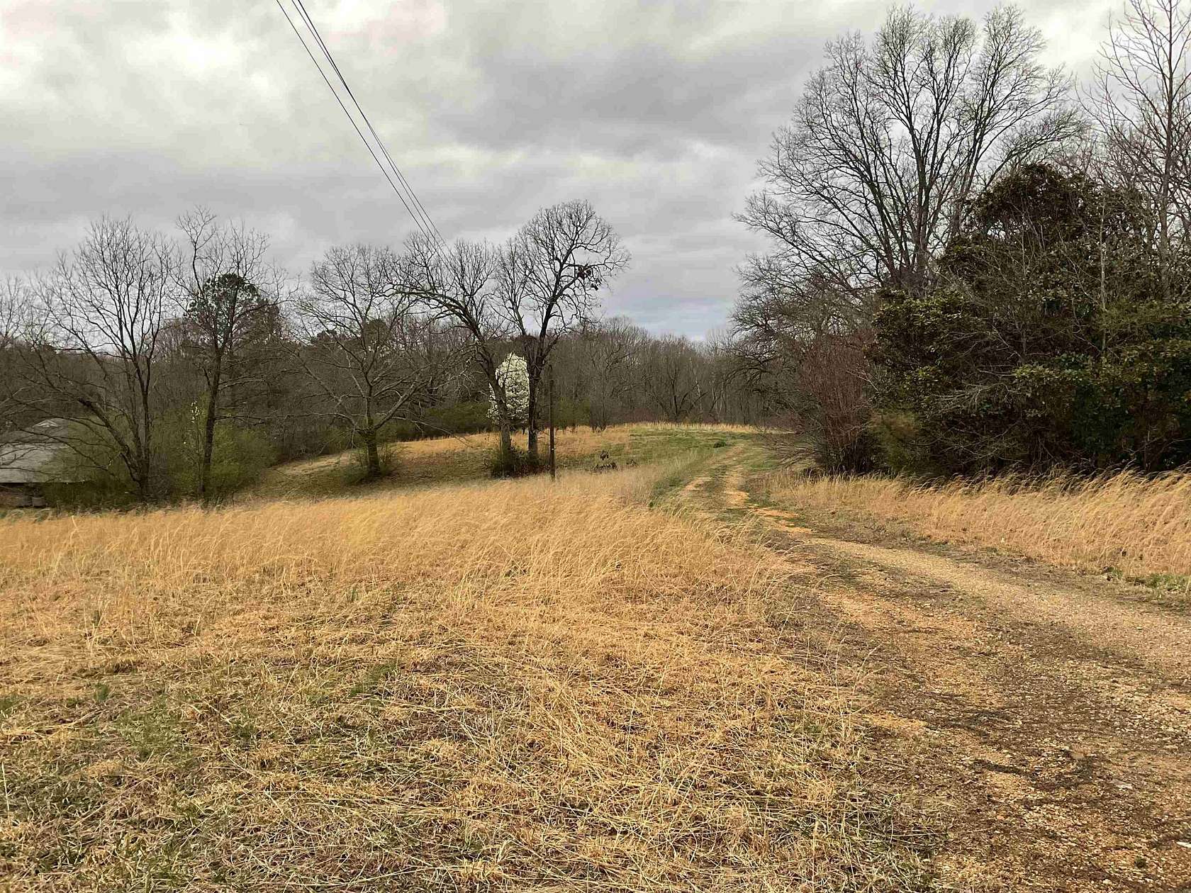 7.9 Acres of Residential Land for Sale in Lexington, Tennessee